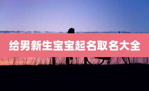 给男新生宝宝起名取名大全