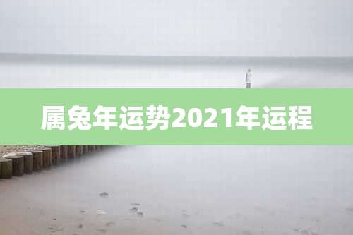 属兔年运势2021年运程