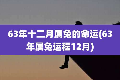 63年十二月属兔的命运(63年属兔运程12月)