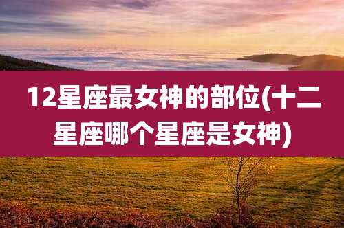 12星座最女神的部位(十二星座哪个星座是女神)