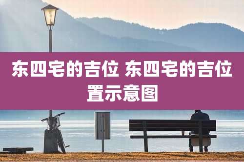 东四宅的吉位 东四宅的吉位置示意图
