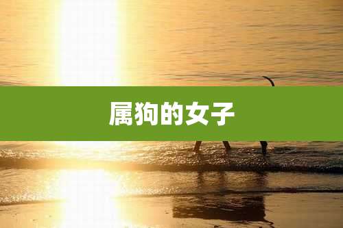 属狗的女子