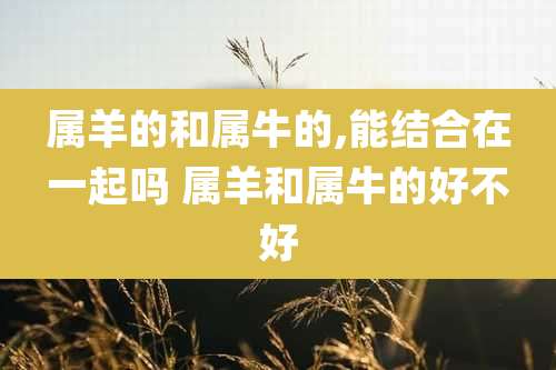 属羊的和属牛的,能结合在一起吗 属羊和属牛的好不好