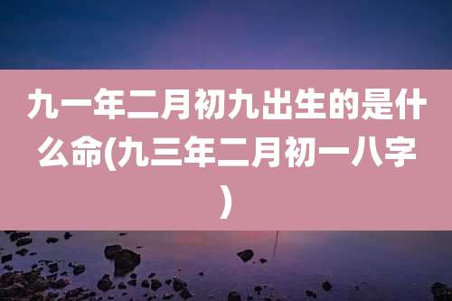 九一年二月初九出生的是什么命(九三年二月初一八字)