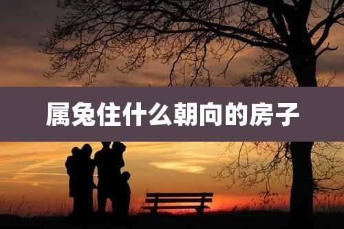 属兔住什么朝向的房子