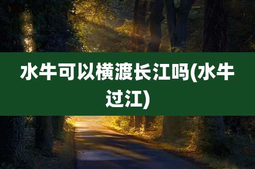 水牛可以横渡长江吗(水牛过江)