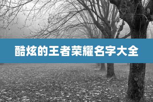 酷炫的王者荣耀名字大全