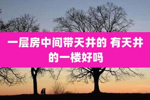 一层房中间带天井的 有天井的一楼好吗