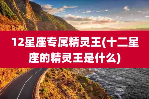 12星座专属精灵王(十二星座的精灵王是什么)