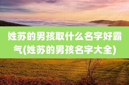 姓苏的男孩取什么名字好霸气(姓苏的男孩名字大全)