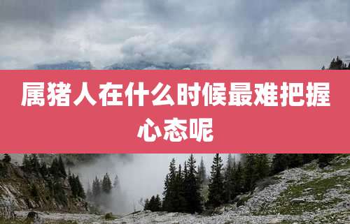 属猪人在什么时候最难把握心态呢