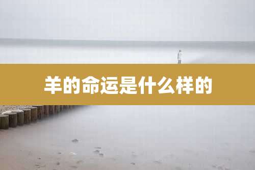 羊的命运是什么样的