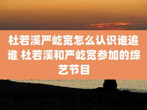 杜若溪严屹宽怎么认识谁追谁 杜若溪和严屹宽参加的综艺节目