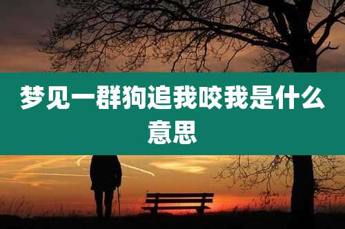 梦见一群狗追我咬我是什么意思