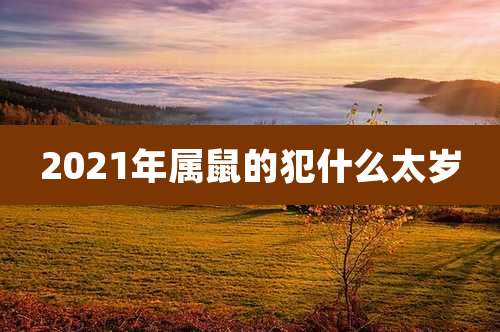 2021年属鼠的犯什么太岁