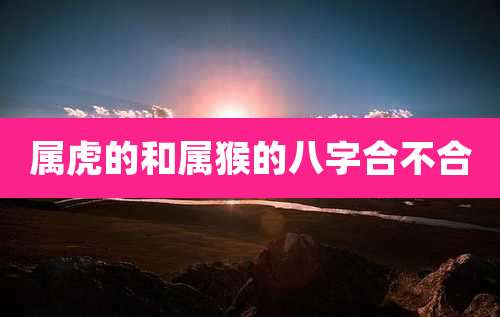 属虎的和属猴的八字合不合