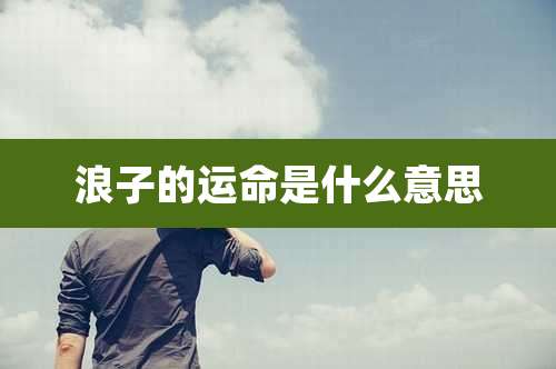 浪子的运命是什么意思