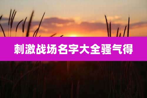 刺激战场名字大全骚气得