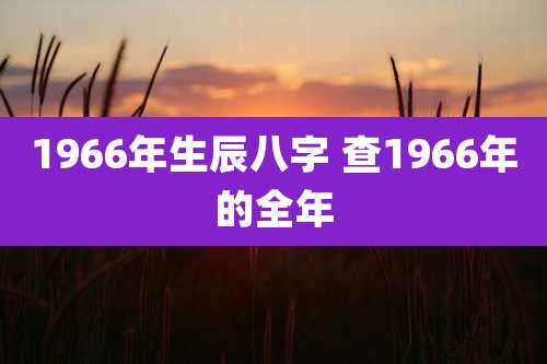 1966年生辰八字 查1966年的全年