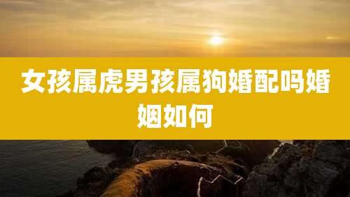 女孩属虎男孩属狗婚配吗婚姻如何
