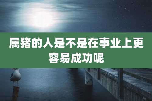 属猪的人是不是在事业上更容易成功呢