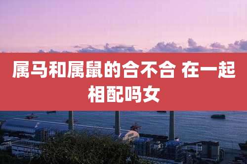 属马和属鼠的合不合 在一起相配吗女