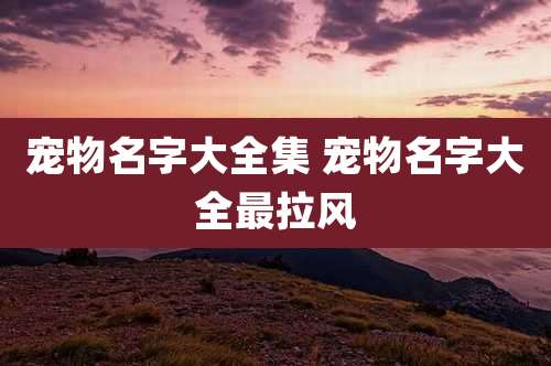 宠物名字大全集 宠物名字大全最拉风