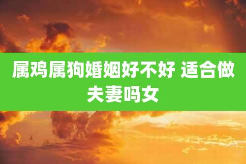 属鸡属狗婚姻好不好 适合做夫妻吗女