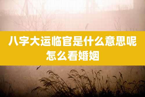 八字大运临官是什么意思呢怎么看婚姻