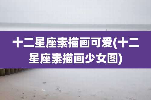十二星座素描画可爱(十二星座素描画少女图)