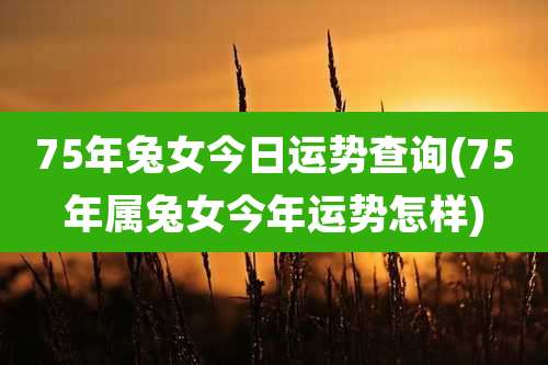 75年兔女今日运势查询(75年属兔女今年运势怎样)