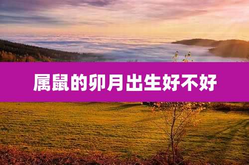 属鼠的卯月出生好不好