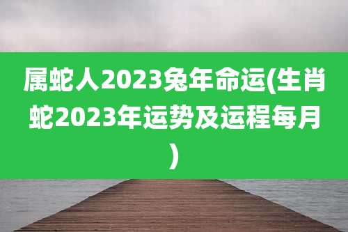 属蛇人2023兔年命运(生肖蛇2023年运势及运程每月)