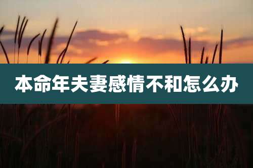 本命年夫妻感情不和怎么办