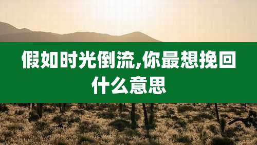 假如时光倒流,你最想挽回什么意思