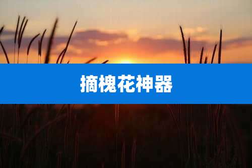 摘槐花神器