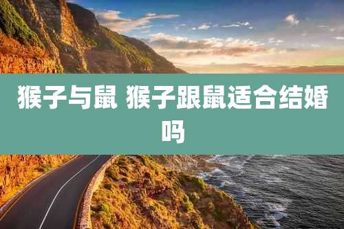 猴子与鼠 猴子跟鼠适合结婚吗