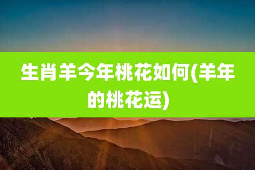 生肖羊今年桃花如何(羊年的桃花运)