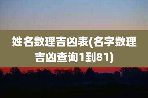 姓名数理吉凶表(名字数理吉凶查询1到81)