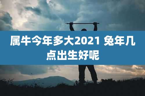 属牛今年多大2021 兔年几点出生好呢