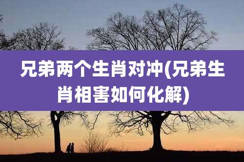 兄弟两个生肖对冲(兄弟生肖相害如何化解)
