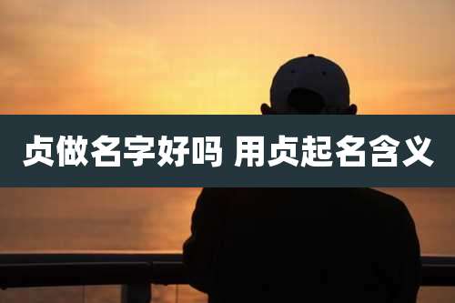 贞做名字好吗 用贞起名含义