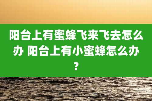 阳台上有蜜蜂飞来飞去怎么办 阳台上有小蜜蜂怎么办?