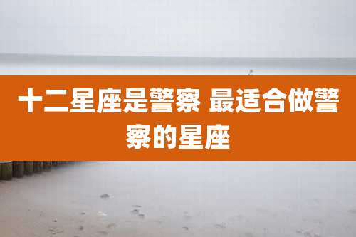 十二星座是警察 最适合做警察的星座