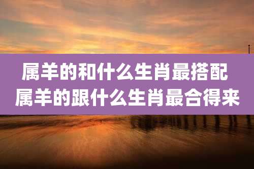 属羊的和什么生肖最搭配 属羊的跟什么生肖最合得来