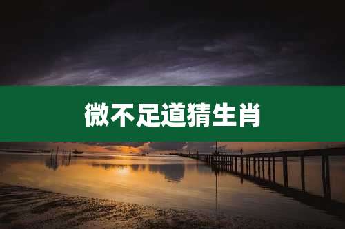 微不足道猜生肖