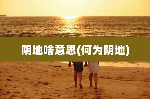 阴地啥意思(何为阴地)