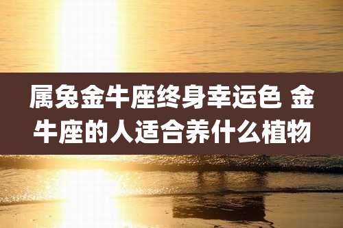 属兔金牛座终身幸运色 金牛座的人适合养什么植物