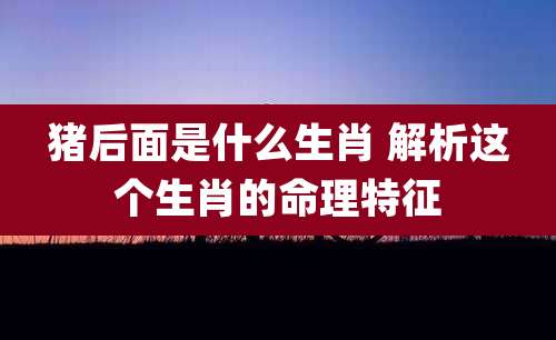 猪后面是什么生肖 解析这个生肖的命理特征