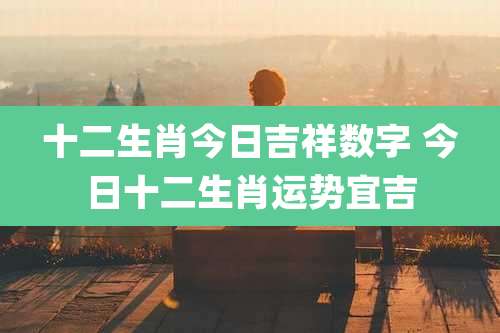 十二生肖今日吉祥数字 今日十二生肖运势宜吉